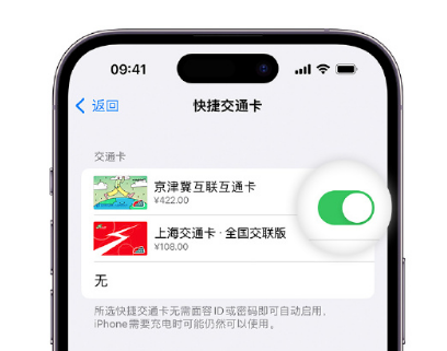 玉溪apple维修点分享iPhone上更换Apple Pay快捷交通卡手绘卡面 