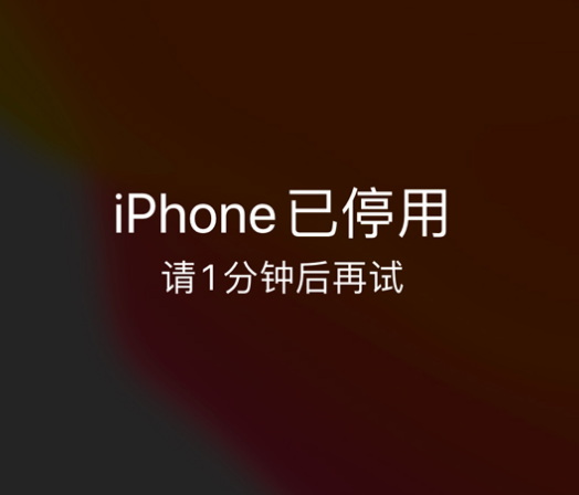 玉溪苹果手机维修分享:iPhone 显示“不可用”或“已停用”怎么办？还能保留数据吗？ 