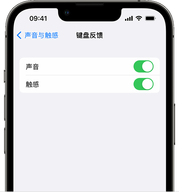 玉溪苹果14维修店分享如何在 iPhone 14 机型中使用触感键盘 