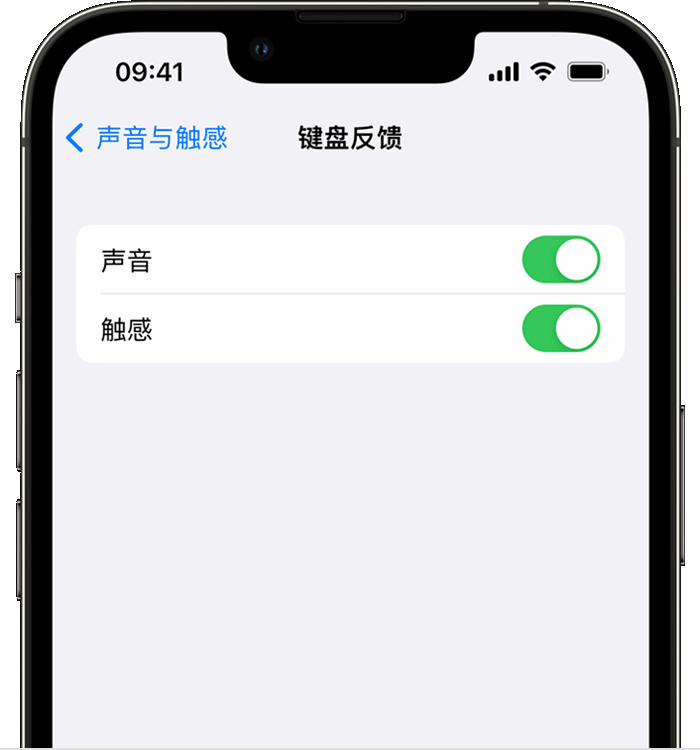 玉溪苹果14维修分享iPhone 14 系列机型如何开启键盘声音或触感反馈 