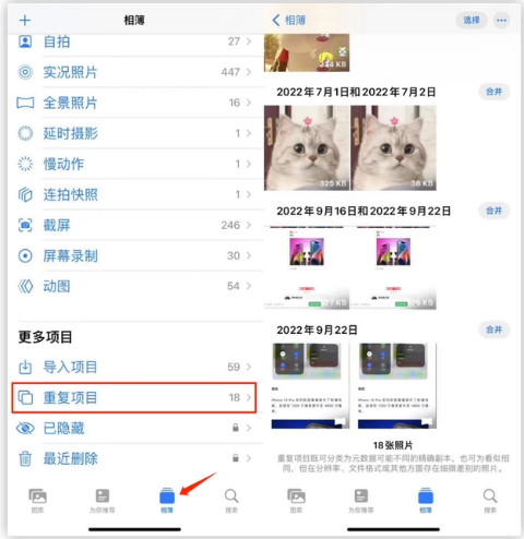 玉溪苹果手机维修分享iOS 16 中相册重复项目功能使用方法 