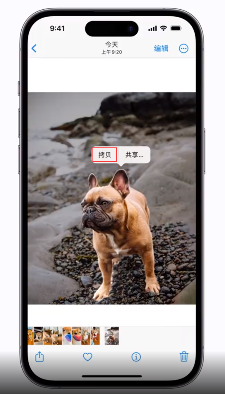 玉溪苹果手机维修分享 iOS 16 自带一键抠图功能 