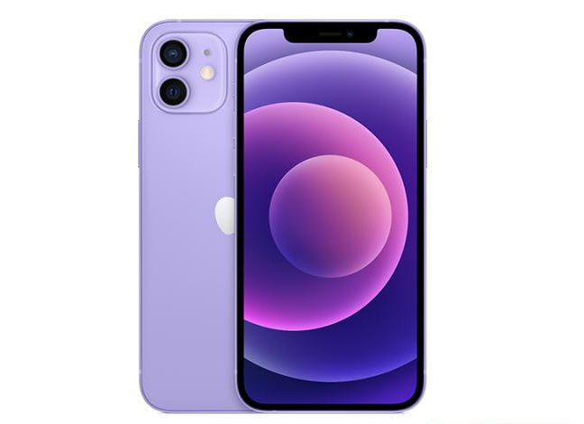 玉溪苹果手机维修分享现阶段要不要入手紫色版iPhone12 