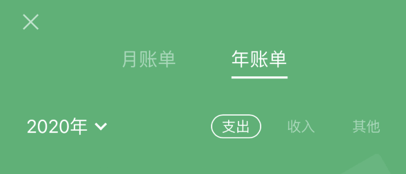 玉溪苹果手机维修分享如何在 iPhone 上查看支付宝和微信年支出账单 